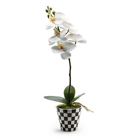 Courtly Check Orchid Drop In